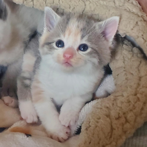 I'm selling a little of this and a little of that. - Picture 5 of 6